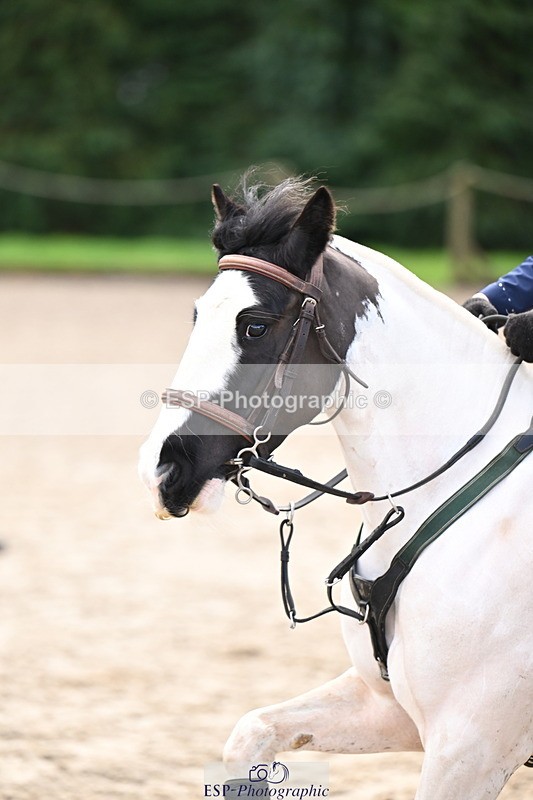 260222A-115727-00780 - 50cm All sections