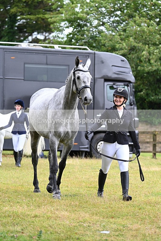 WJ7_6063 - Class 4a Prettiest Mare over 14hh