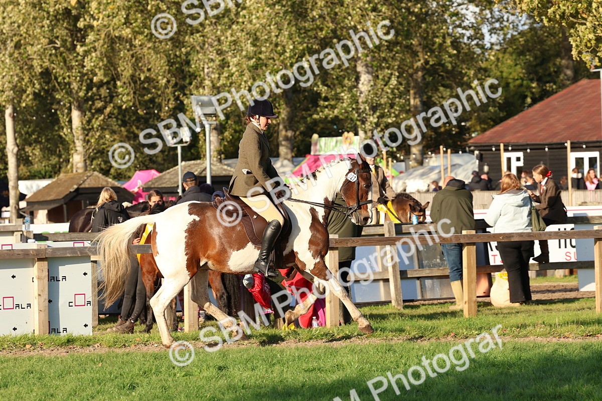 SBM_53035 - S29 - Mature Veteran Ridden