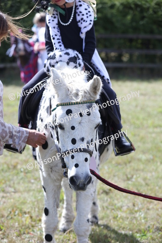 20250831-3465 - Class 26 - Fancy Dress