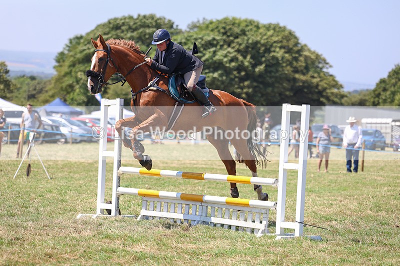 3E7A4412 - Class 10: Senior British Novice/90cm open
