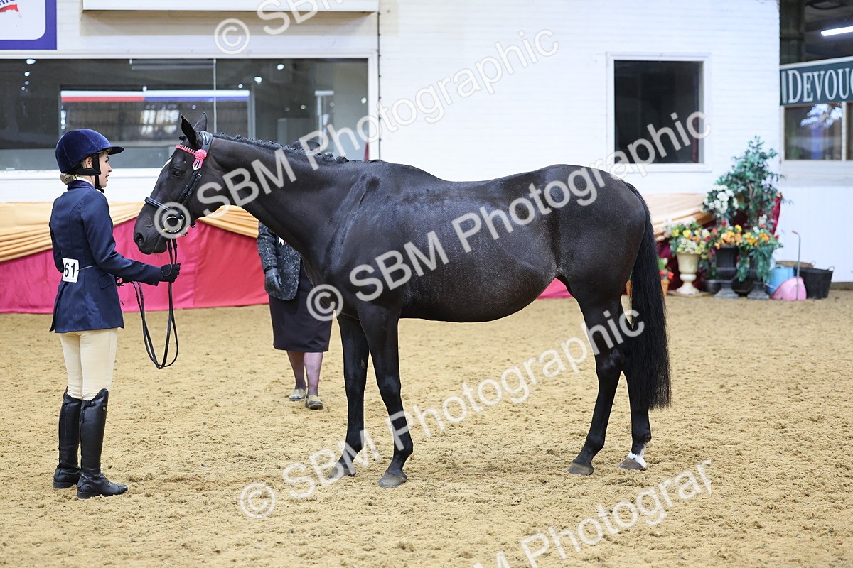 SBM_21098 - Class 902 - Supreme Final IH Veteran
