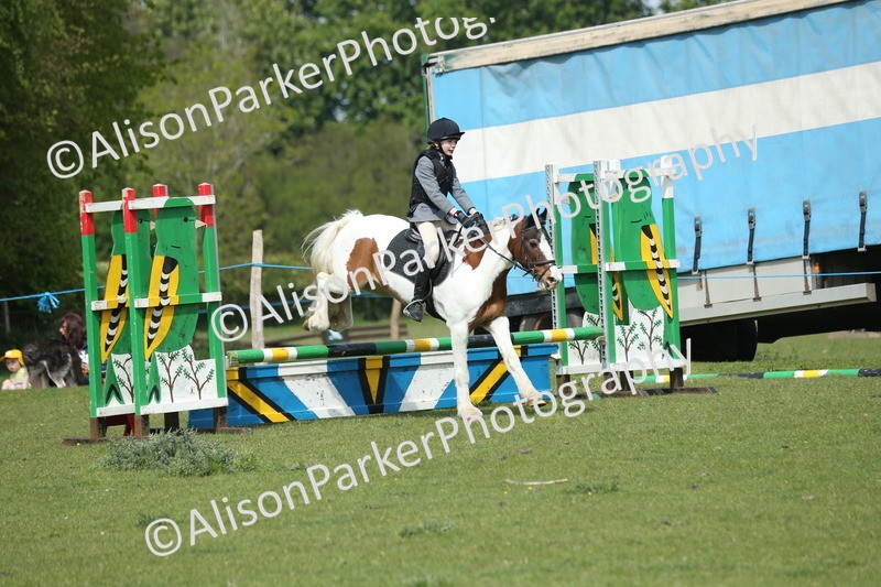 20260426-1770 - Class 14 - Novice 60cm