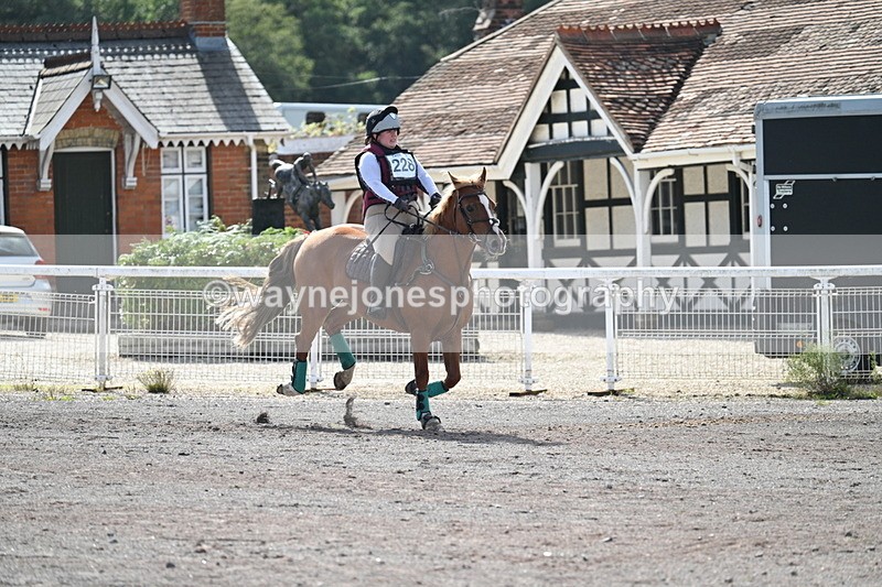 WJ7_0776 - Time 12:02 to 12:30