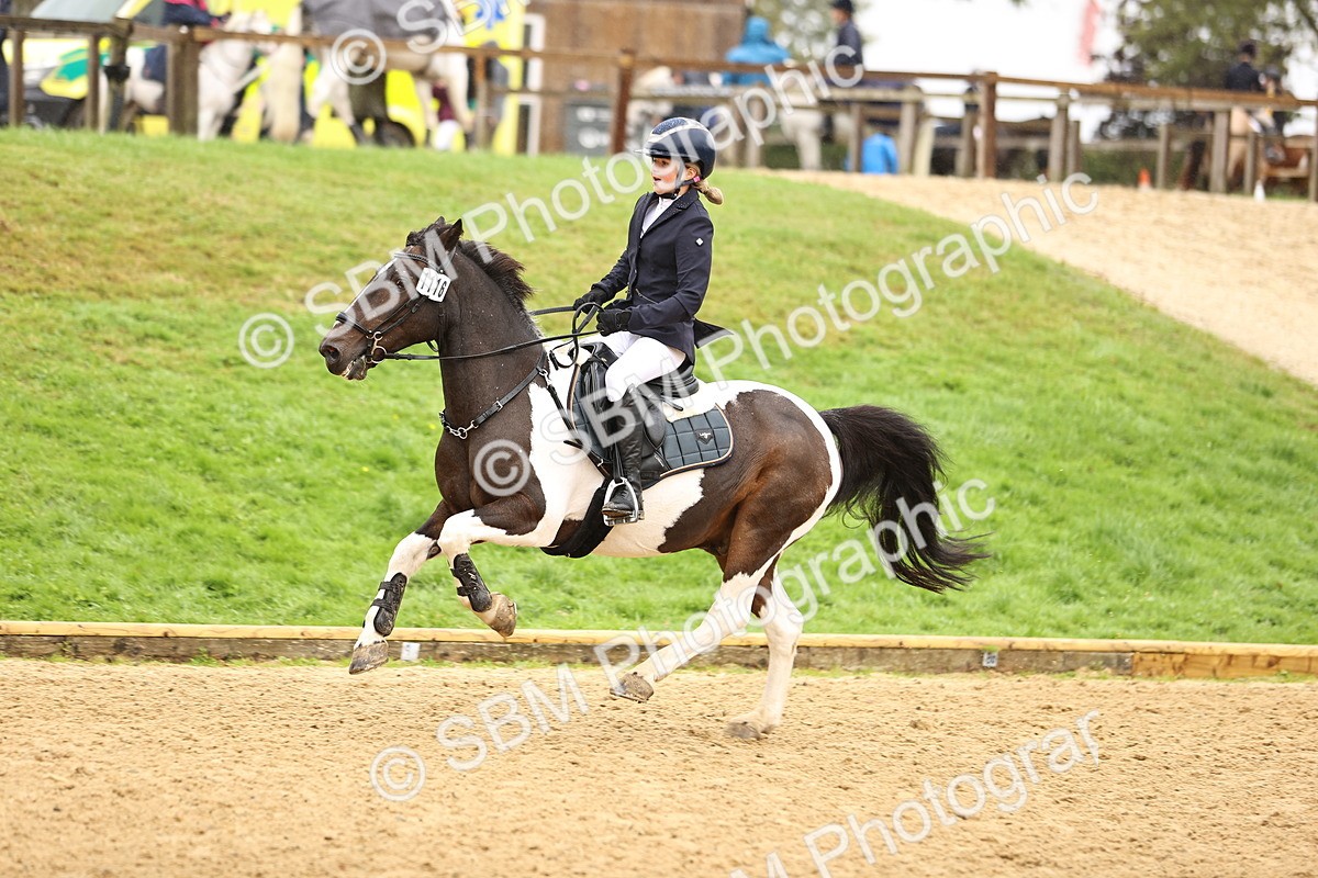 SBM_70051 - Supreme Championship 80cm 85cm