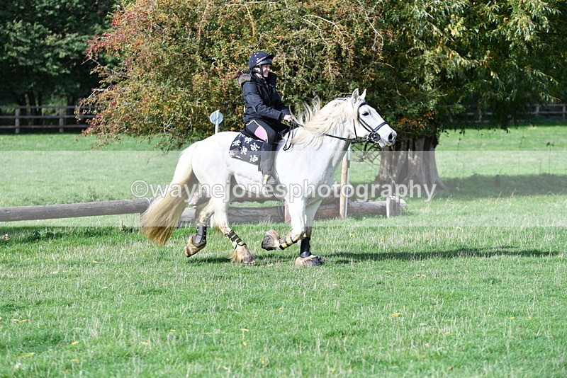 WJ5_7897 - Time 10:31 to 12:01