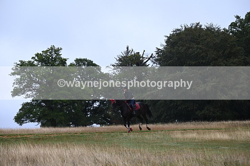 DSC_1688 - Time at Statue 12:13 to 12:32
