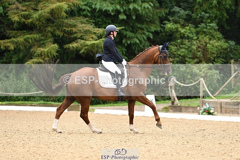 240811-102225-04998 - 110-Helen.Kitto-Da.Vinci.IV