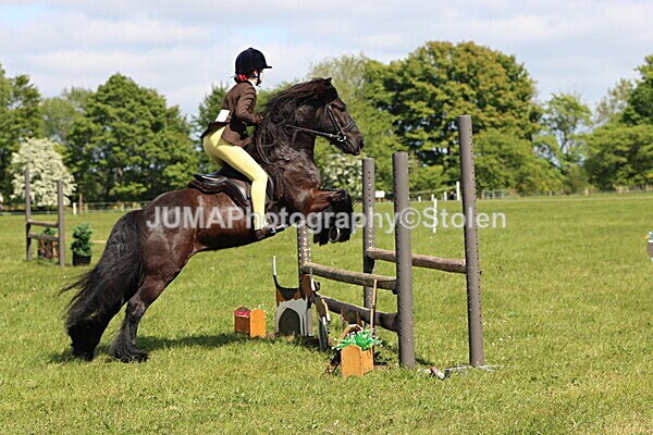 IMG_4294 - Working Hunter