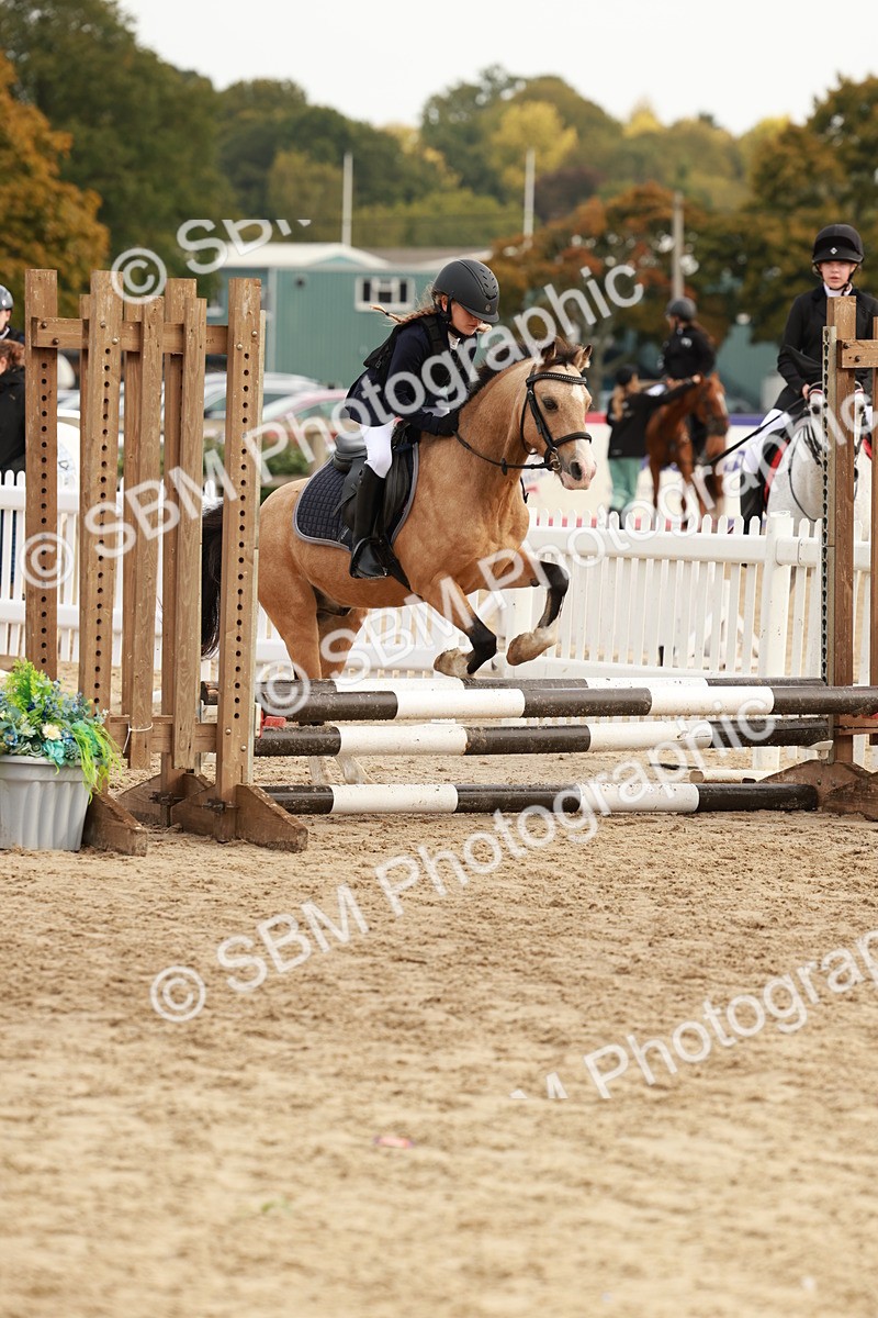 SBM_57678 - J11 - Junior Pony 50cm Championship