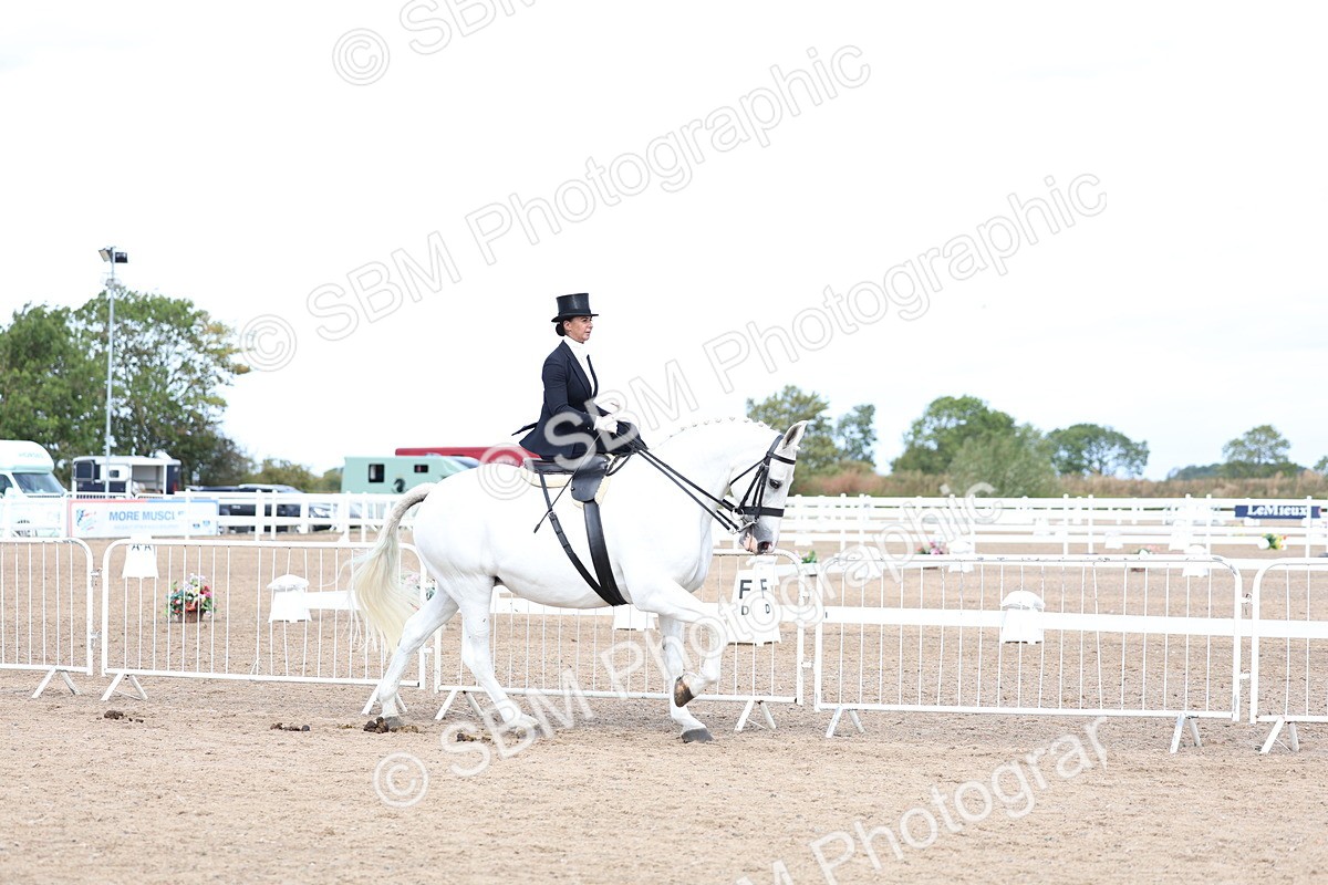 SBM_03196 - Class 22 - SSA Equitation (any age)