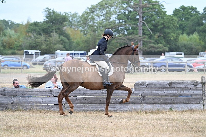 WJ7_0874 - Class 7 Riding Club Show Horse