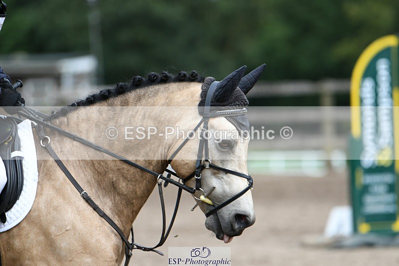 240825X-115805-32743 - 70cm SJ 11.40 to 12.30