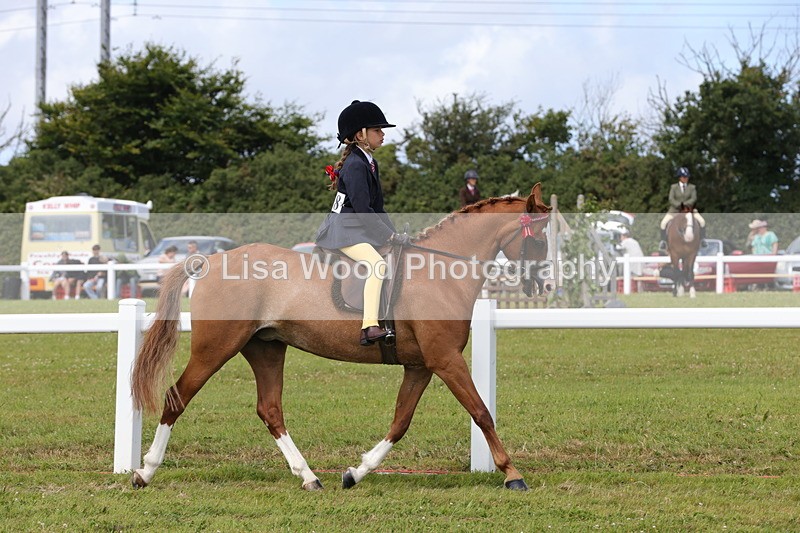 1X9A3885 - Class 31: Show Pony 148cm and under