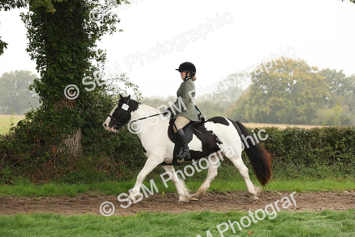SBM_72738 - S70 - Traditional Cob Ridden