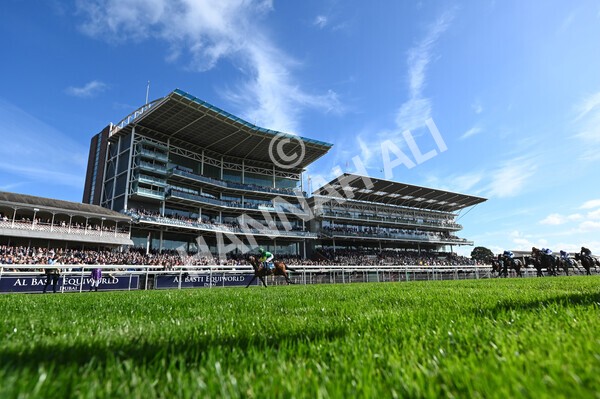 yr08102022r1-24 - Race 1 1.30pm The Coral Play 'Racing-Super-Series' for Free Nursery Handicap