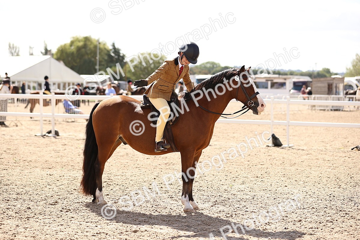 SBM_12882 - Class 409 - Grassroots Ridden - Pony