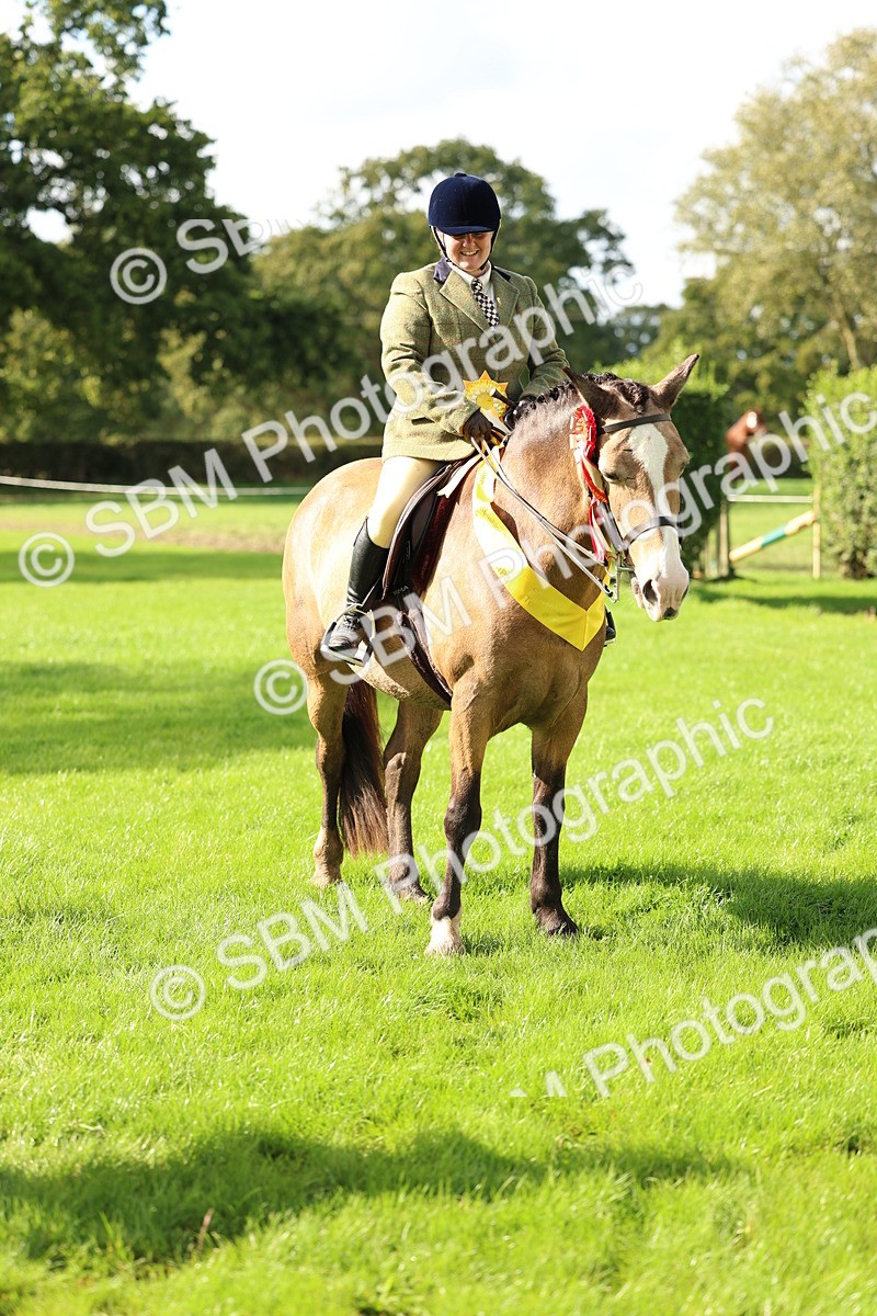 SBM_46421 - Working Hunter Pony Supreme Championship