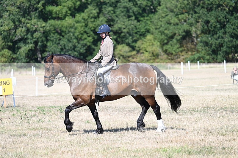 WJ7_3920 - Class 9 Mountain & Moorland Ridden
