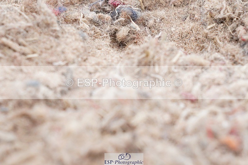 250622-113216-15749 - Cls 55 Freestyle Medium Inc Presentations