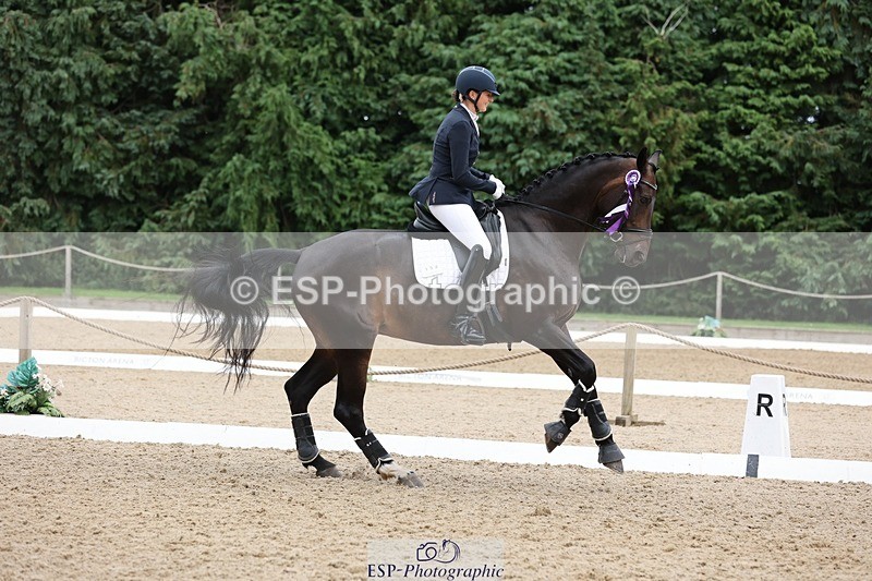 240810-170450-04527 - Elementary Silver