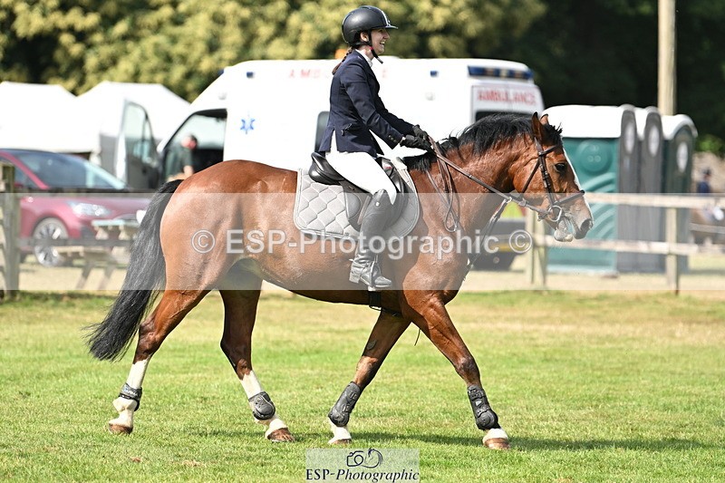 250704A-095334-06891 - Cls 24 85cm Amateur Quali