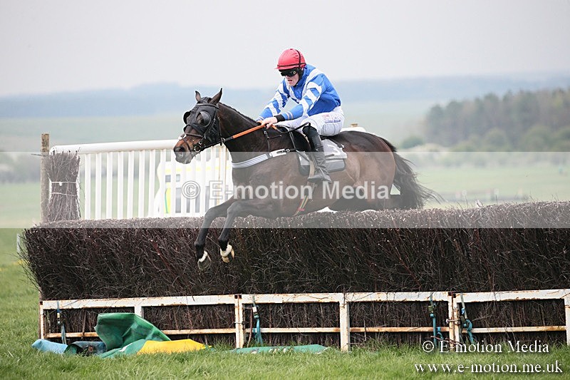 PtP 210418 103 - South & West Wilts Point-to-Point Larkhill 21/04/18
