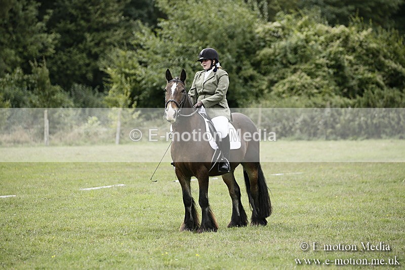 BVR080918 108 - BVRC Novice Dressage & CR 08/09/18
