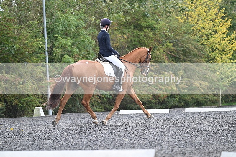 WJ7_6780 - Time 14:49 to 15:14