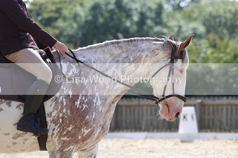 3E7A3212 - Class 1: Intro 1 2024 Section A