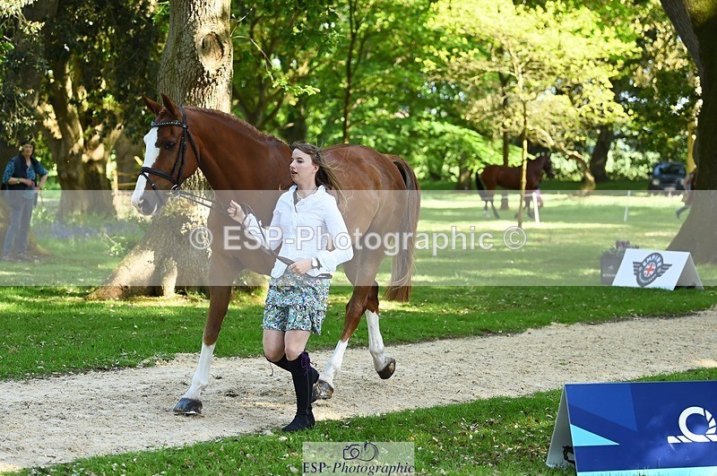 230524-160704-00693 - 208-NICO-Holly_Clarke-WEDTrotUp+DR