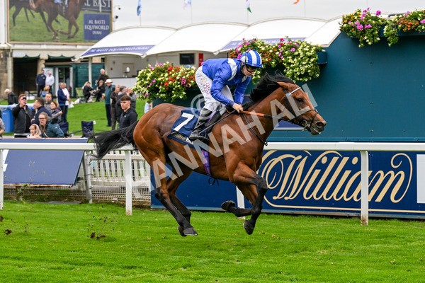 101025-Race 3-Mukhtalif-0235 - Race 3 William Hill Each Way Extra Handicap at York