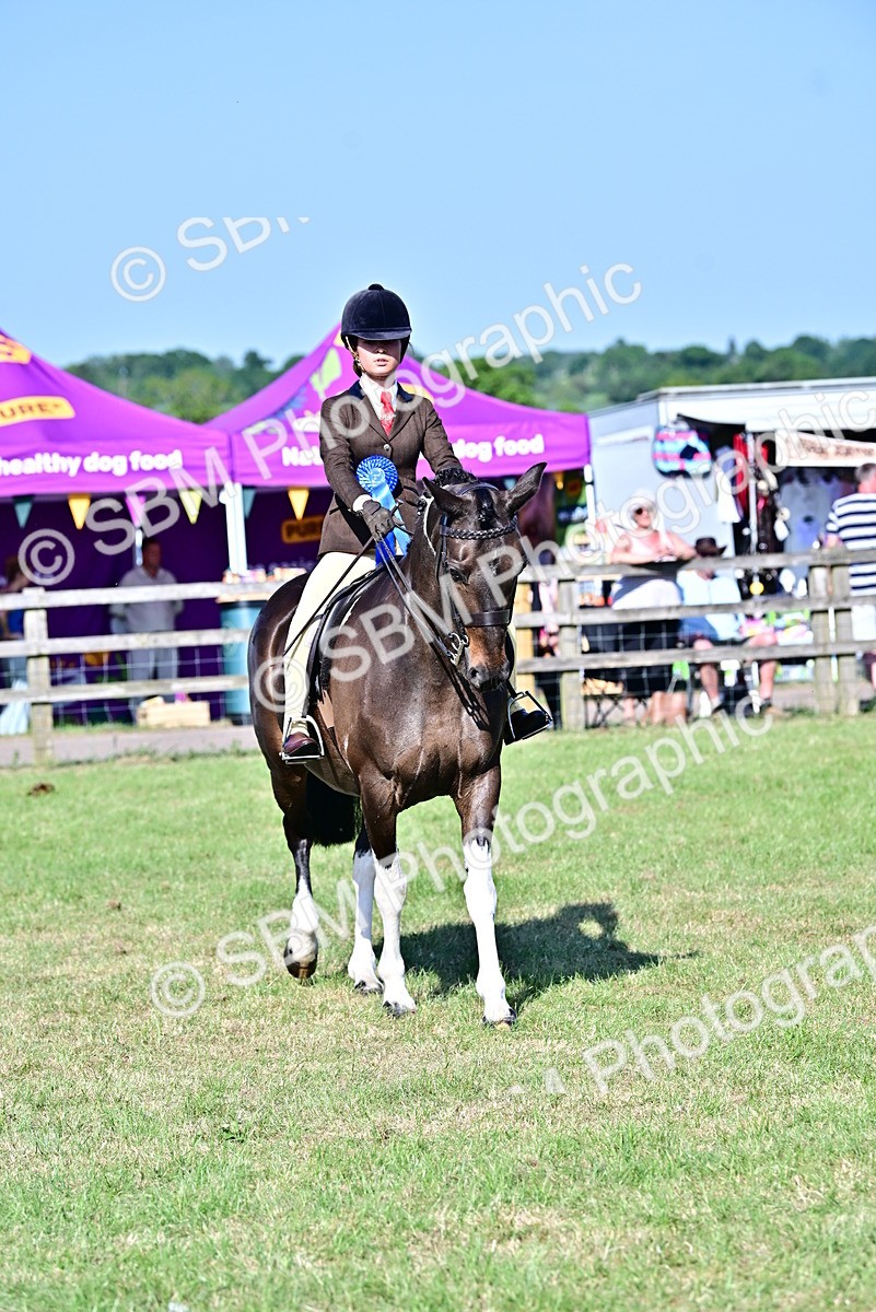 SBM_19545 - Class 101-102 - BSPS LIHS Performance Coloured Horse/Pony