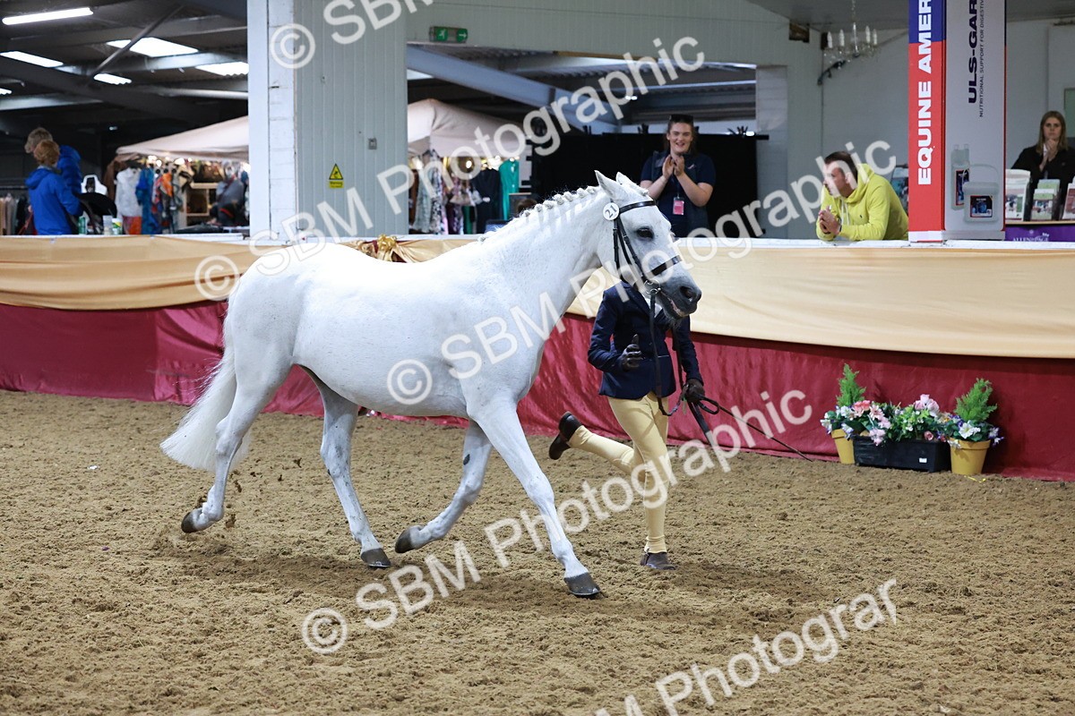 SBM_19976 - Class A - Junior Champ 10yr and Under