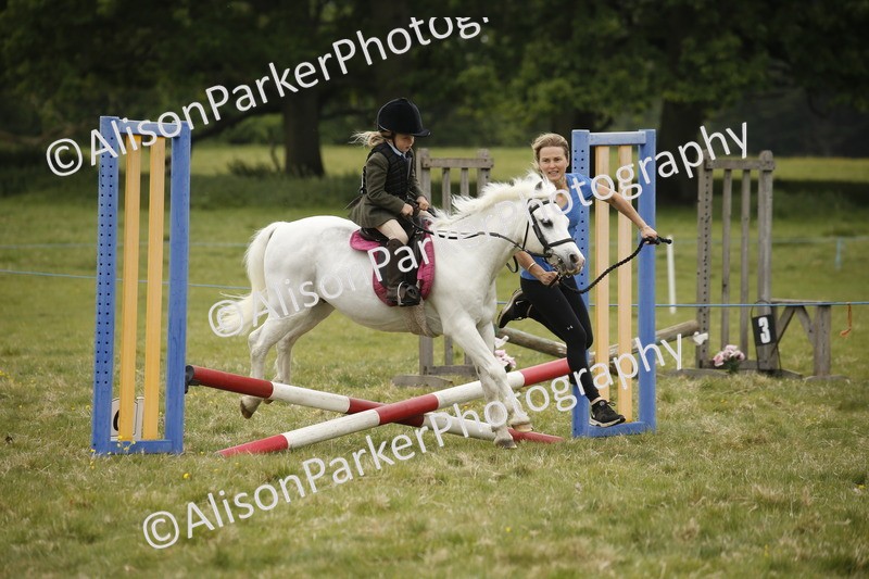 20250517-0150 - Class 1 - 30cm On Lead Rein
