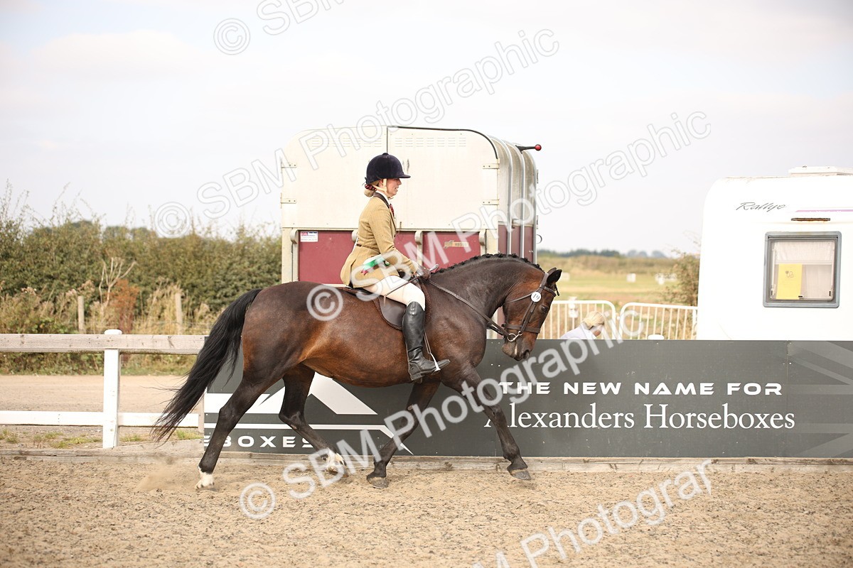 SBM_16245 - Class 409a - Working Veteran 80cm (15-19)