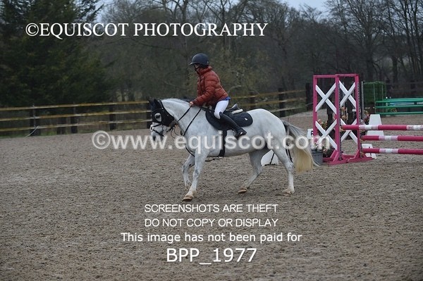 BPP_1977 - CLASS 18 STX-UK Pony BritiNovice / 0.80m Open