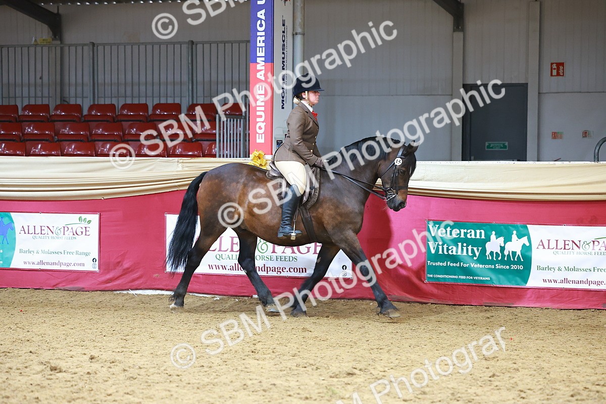 SBM_10507 - Class 103 - HOYS Veteran Qualifier - Ridden Pre Vet