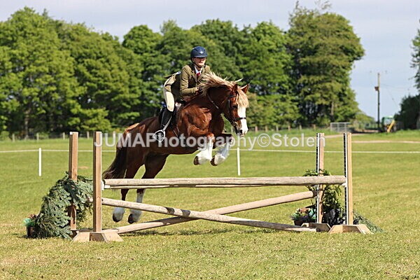IMG_4724 - Working Hunter