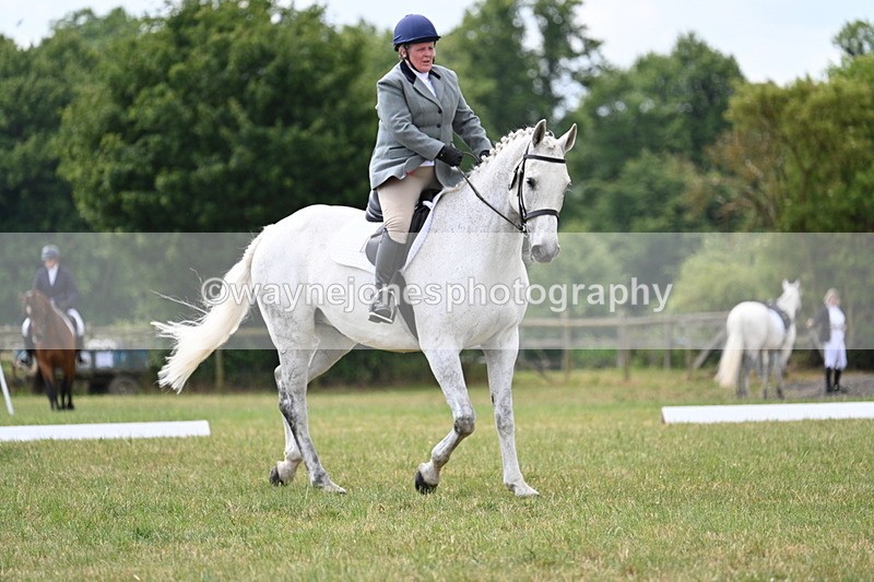 WJ7_5028 - Time 11:22 to 11:51