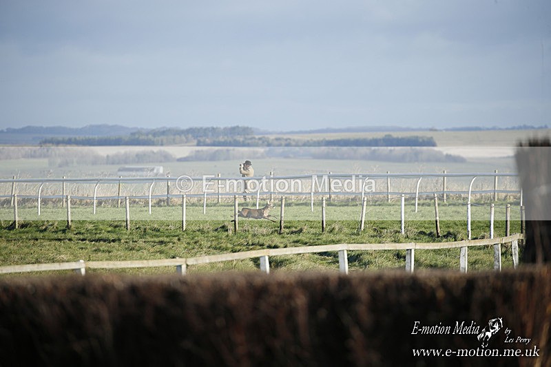 PtP 121220 077 - Avon Vale Races Larkhill 12/12/20