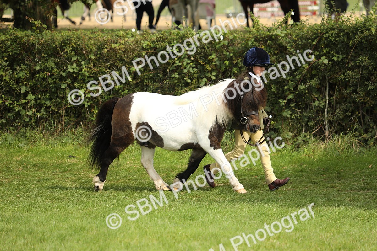 SBM_67702 - S39 - Junior Handler 8  Years & Under
