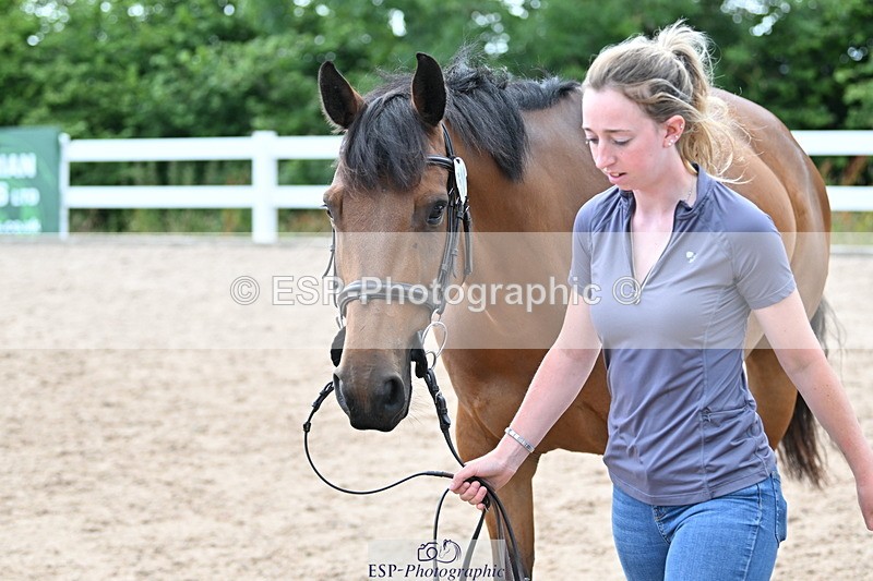 240717A-143920-02168 - Trot Up 2pm to 3pm - This folder is not in time order