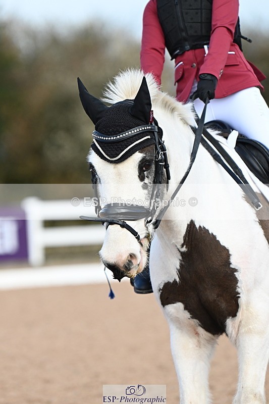 240323A-101815-01134 - MyQuest Prelim 12