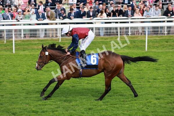 yr21052022r5-28 - Race 5: 4:07pm Phoebe Johnson Celebration EBF Restricted Novice Stakes