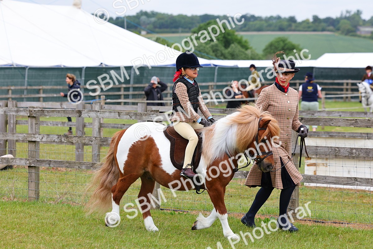 SBM_08091 - Class 42-43 - LIHS BSPS Heritage Working Sports Pony