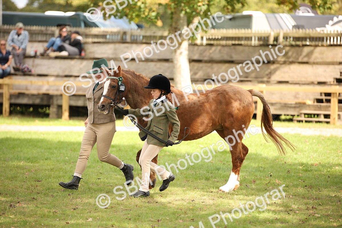 SBM_46352 - S25 - Mature Veteran In Hand
