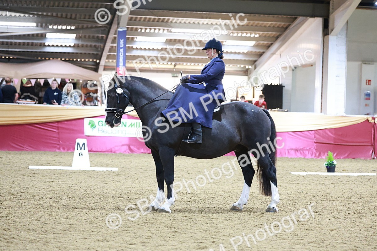 SBM_09937 - Class 61 - Dressage to Music