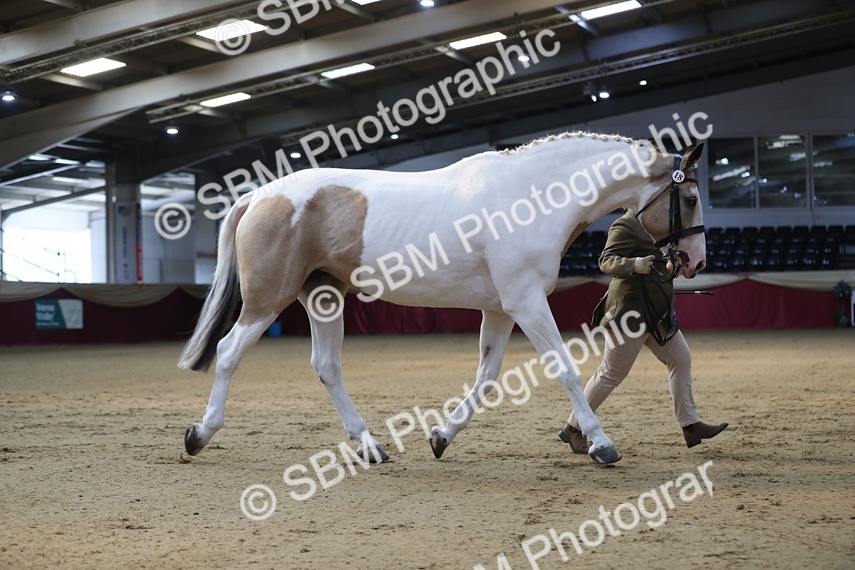 SBM_01289 - Class 3a Area IH Pre Vet