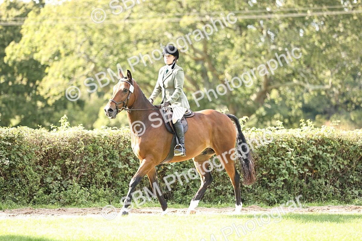 SBM_26380 - S6 - Novice & Newcomers Ridden Horse